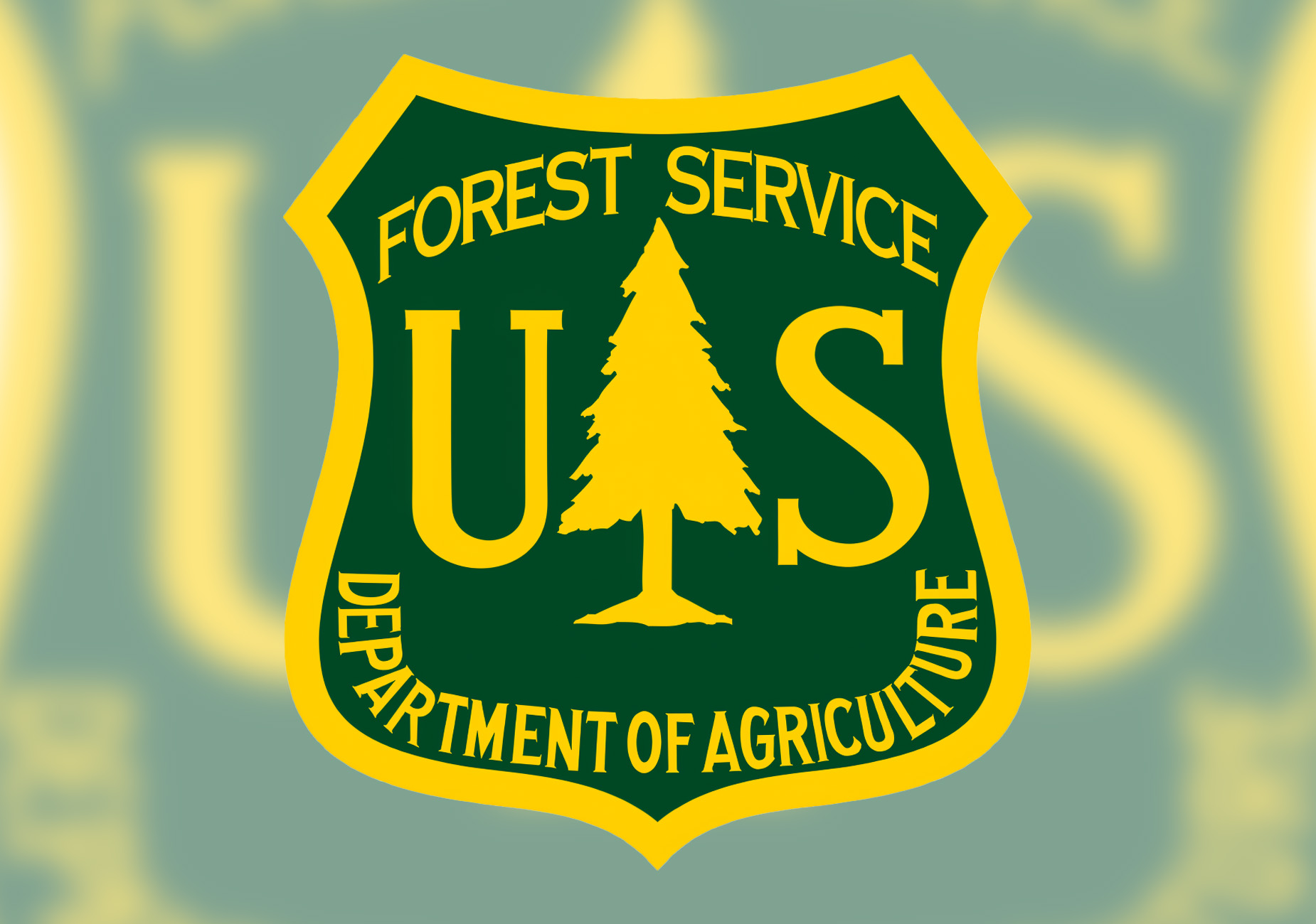 Permits now available for firewood collection in Mendocino National Forest  • The Mendocino Voice | Mendocino County, CA