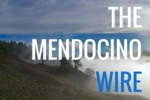THE MENDO WIRE