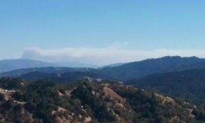 A view of smoke submitted by our reader from Walk Lake Road area south of Willits.