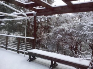 Pine Mountain snow this morning, photo thanks to Mary Holcomb.