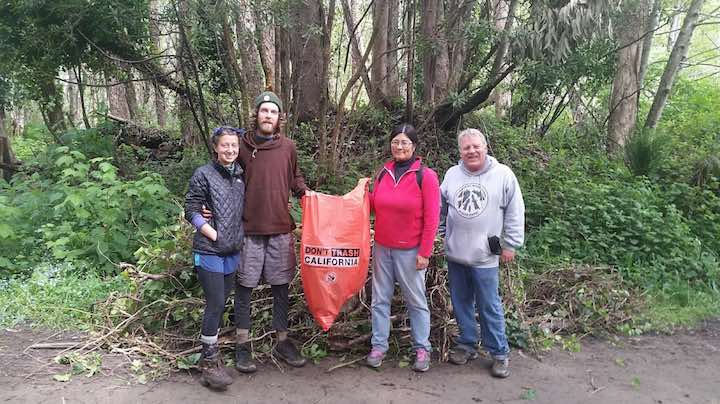 Volunteers, including recruited Lost Coast Trail hikers, stand in front of removed invasive ivy and trash.