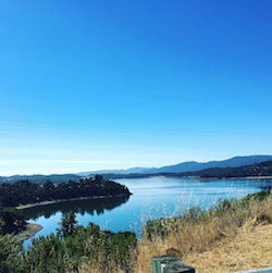 Lake Mendocino from Highway 20.
