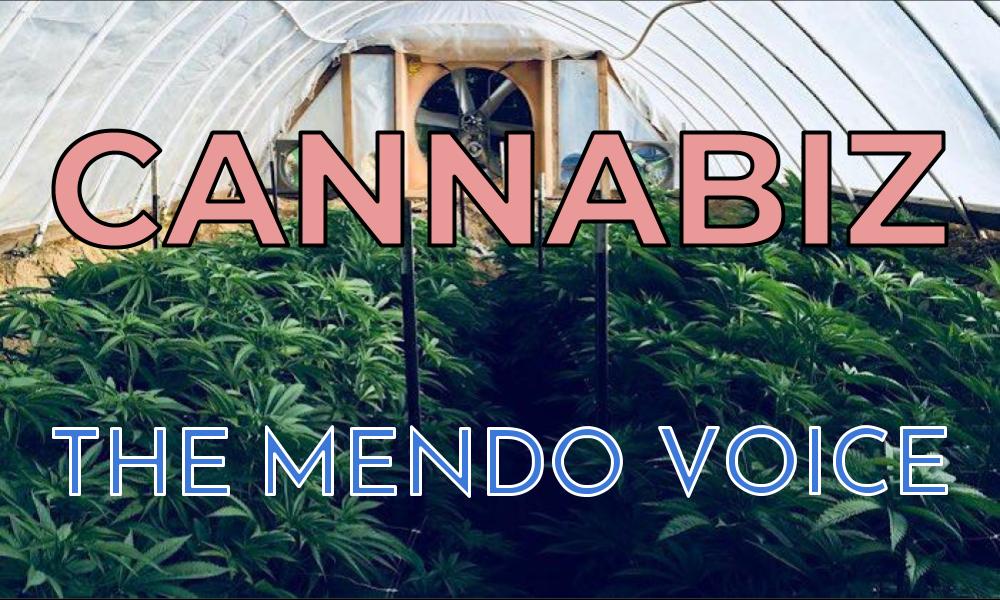 Mendocino Voice cannabiz graphic