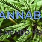 Mendocino Voice cannabis graphic