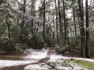 Little Darby trail in winter - KB Maxwell
