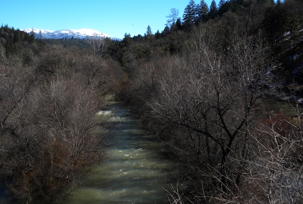 Riparian habitat for Chinook salmon in Potter Valley, from the ERRP.