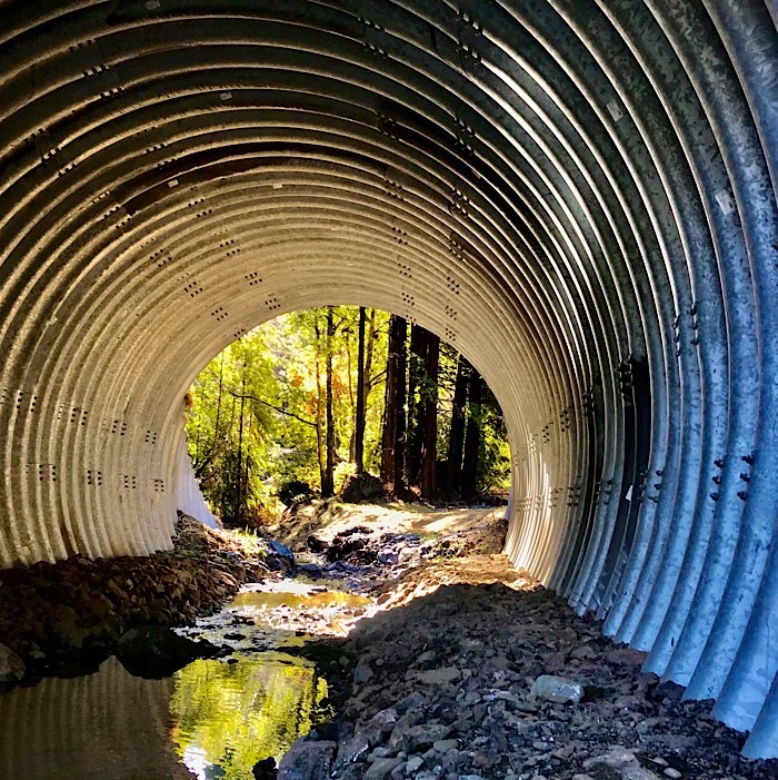 An enormous culvert on a tributary of the Noyo River near Irmulco California. (Lana Cohen / The Mendocino Voice)
