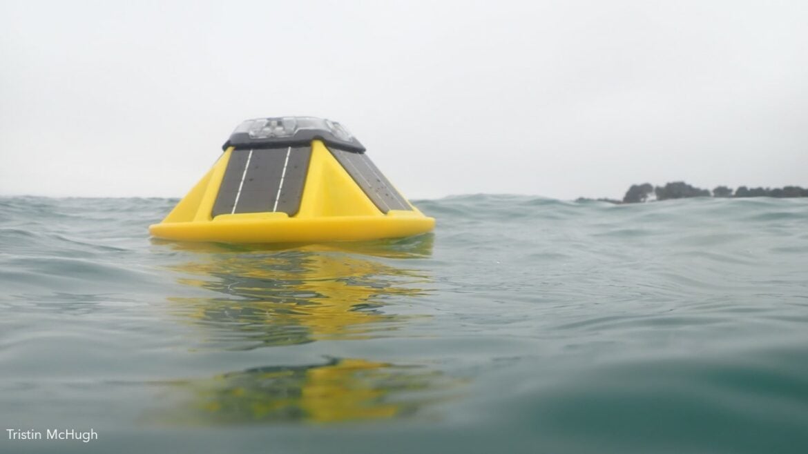 A new buoy in Caspar Cove is collecting data on ocean conditions that could  help researchers and local beach-goers alike • The Mendocino Voice, Mendocino County, CAThe Mendocino Voice
