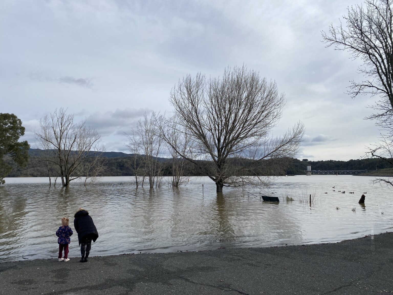 Lake Mendocino hits highest water level in a decade, leading to first