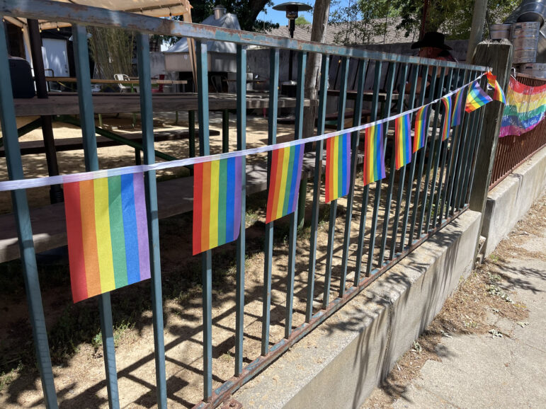 Plastic LGBT pride flags hanging on an iron fence