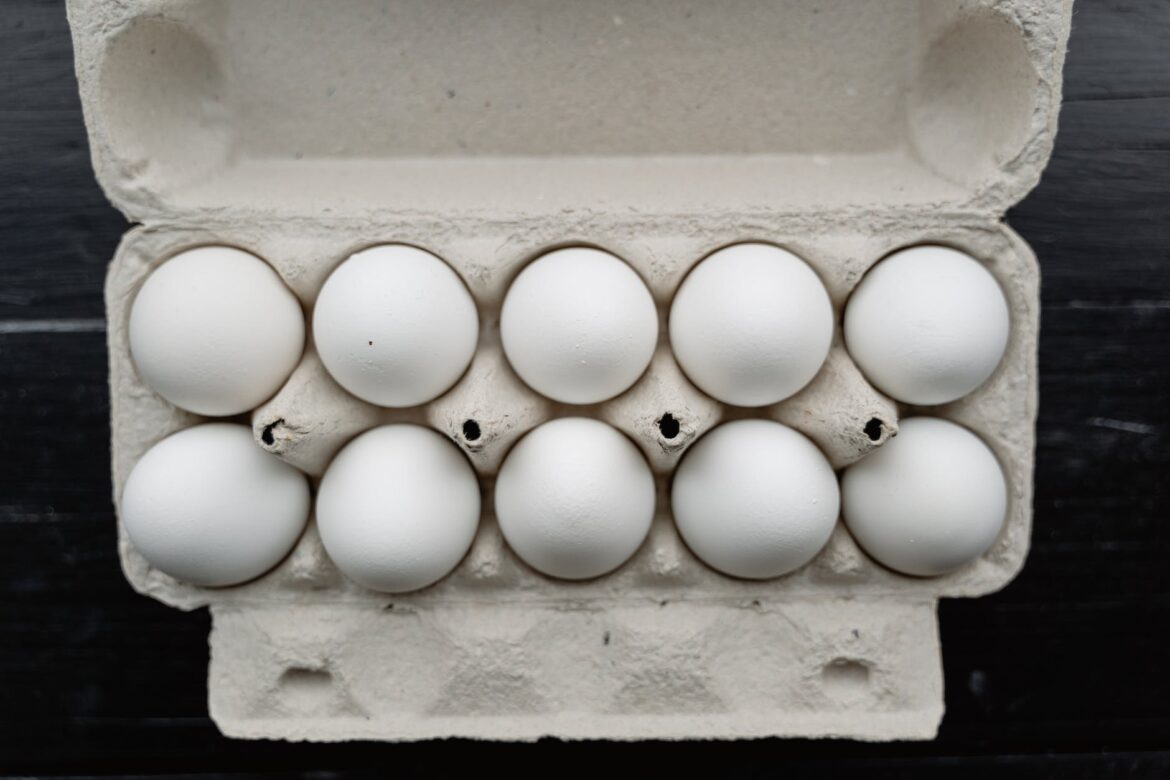 close up photo of white eggs