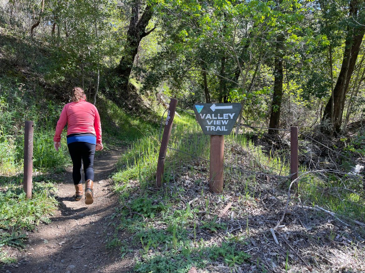 A woman hikes up a trail in a forest.