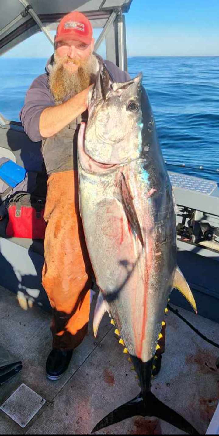 Frustrated fishermen get good news: good rockfishing, salmon fishing could  return in 2024 • The Mendocino Voice, Mendocino County, CAThe Mendocino  Voice