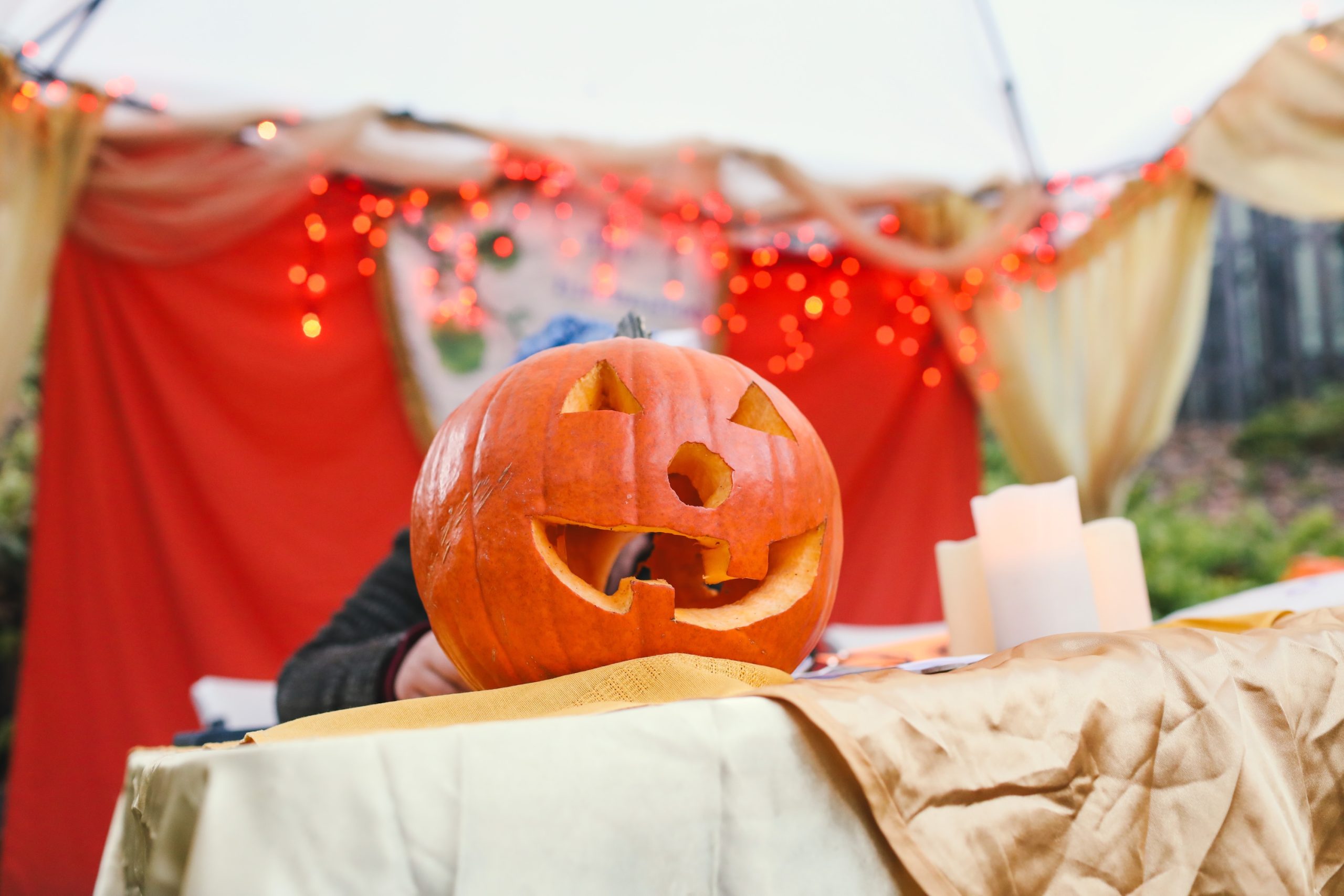 MISSPIN 人工秋のサンゴの葉の茎 8個 秋の装飾 屋内 屋外 ハロウィン 
