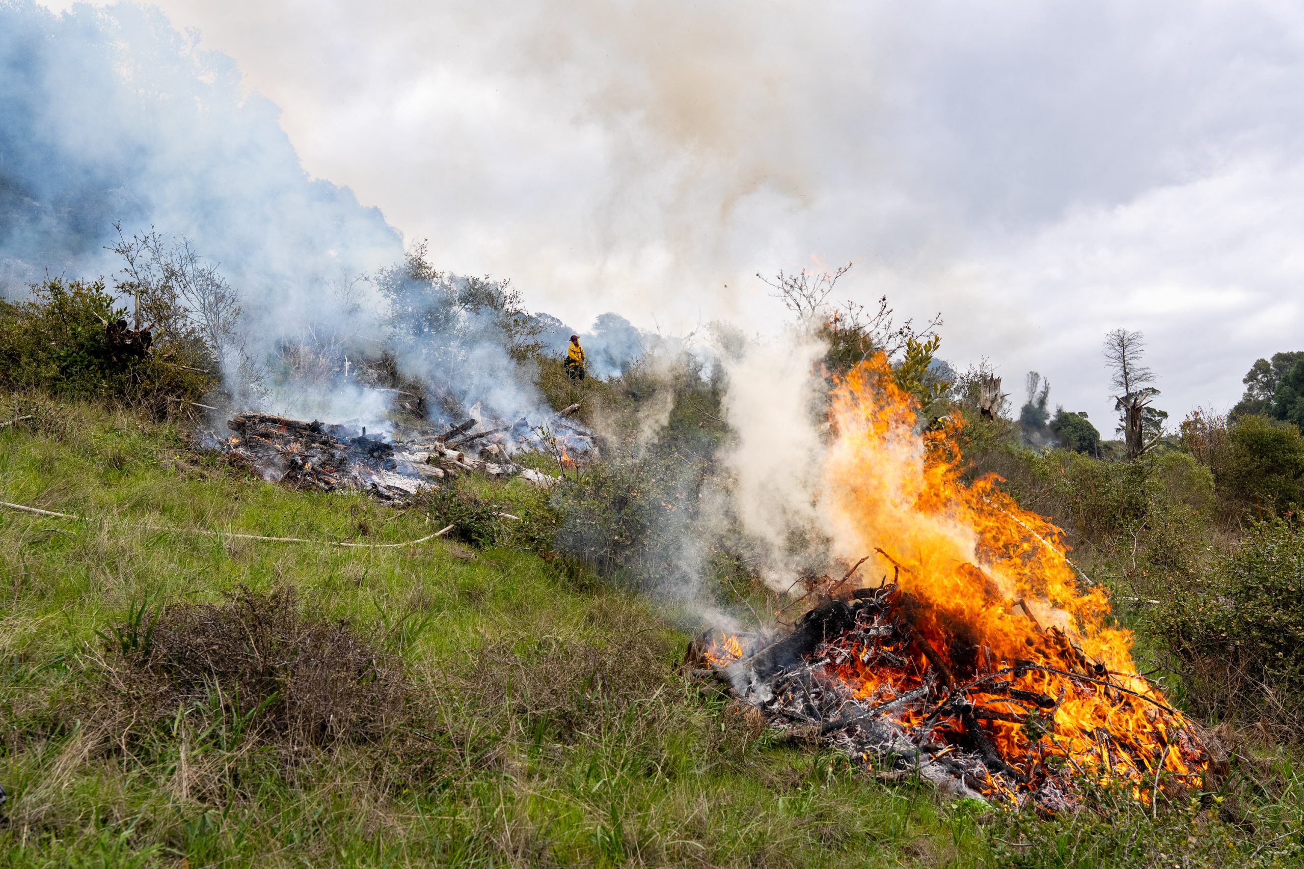 のり burningso Cal Fire suspends burn permits for Mendocino County • The