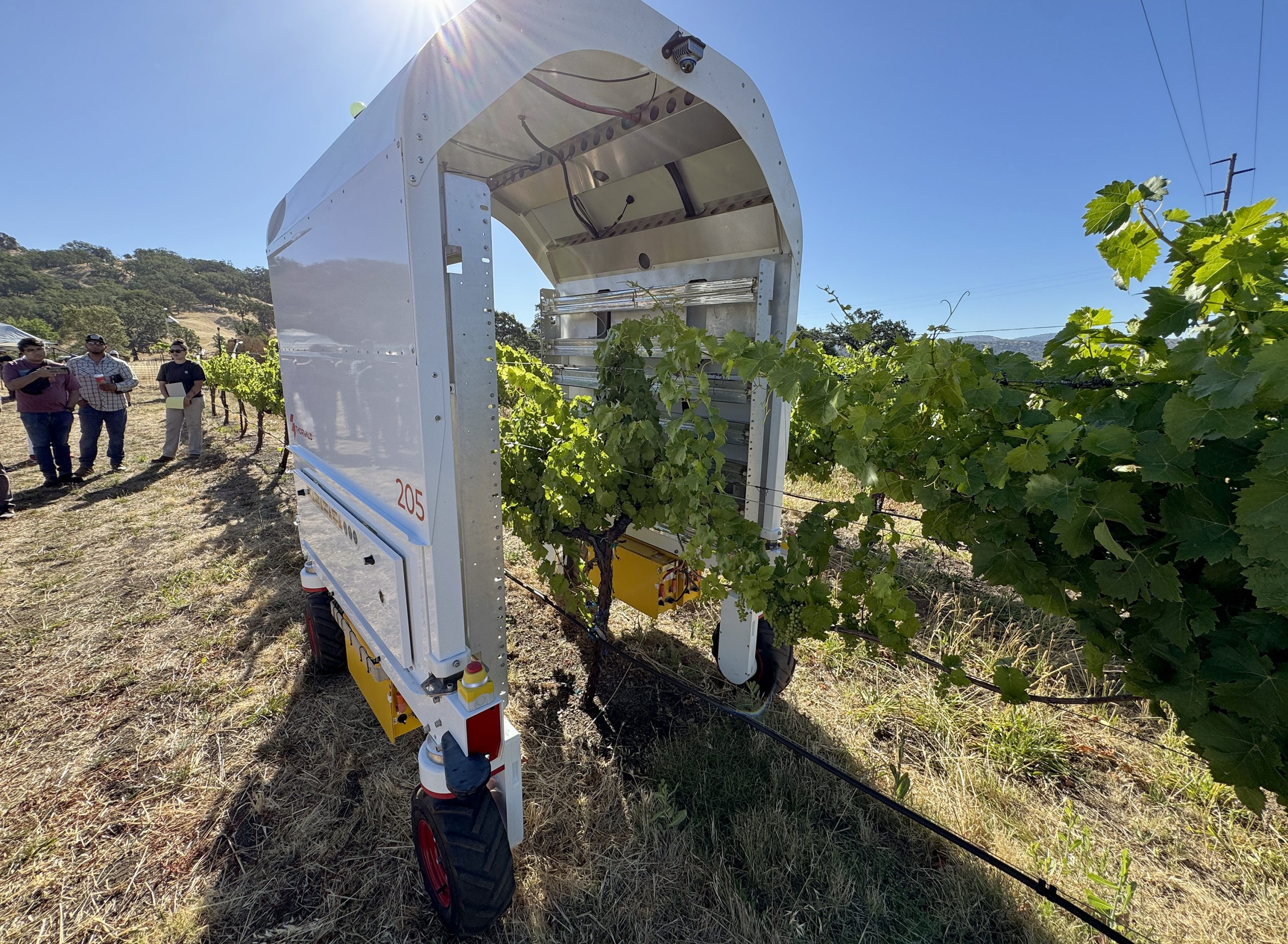 Safety standards could be preventing greater safety in Mendocino County’s vineyards? • The Mendocino Voice